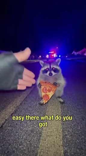 Try Not To Laugh: Funniest Animals of 2025 😂 Cute & Funny Animal Moments Compilation #ai #funny