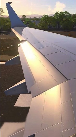 FLAPS: what makes landing possible. Without them… landing would be much more difficult. #aviation