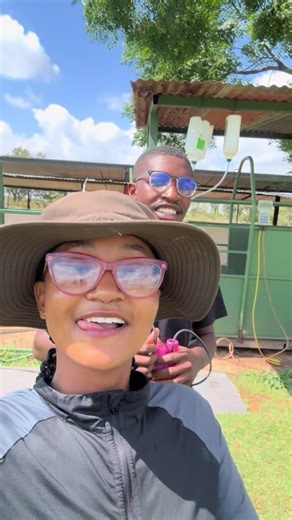 Part 2 Cattle Processing