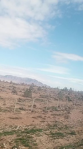 Amina Ymina52 sur TikTok