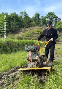 五一回乡务农：体验田园生活