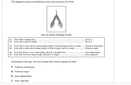 The diagram shows a dichotomous key and a picture of a fruit.  ... | Filo