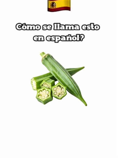 Interactive Spanish Vocabulary Test for Learners