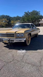 Clean vert on all golds #eyecandywhipz #carshow #bigrims #florida #donks | Eye Candy Whipz Photography