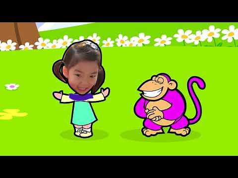 PICME - What Makes a Rainbow?