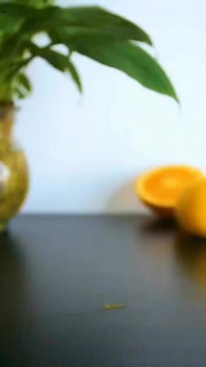 809K views · 10K reactions | Drink this for slim body  #weightloss #smoothie | smoothie recpies | Facebook