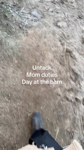 The suburbs life
