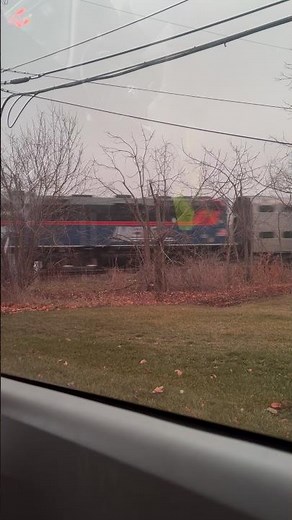 Metra train 🚆 ￼go pass