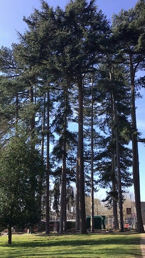 This week, we’re celebrating Colleges' National Green Week 💚 Learn about some of the ways we’re making the College more sustainable with Warda, our Sustainability Officer 🌱 | MidKent College