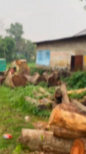 কেউ আমাকে একটু ভালোবাসা দিবা | Riyad Hossain