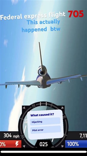 Federal airlines 705￼