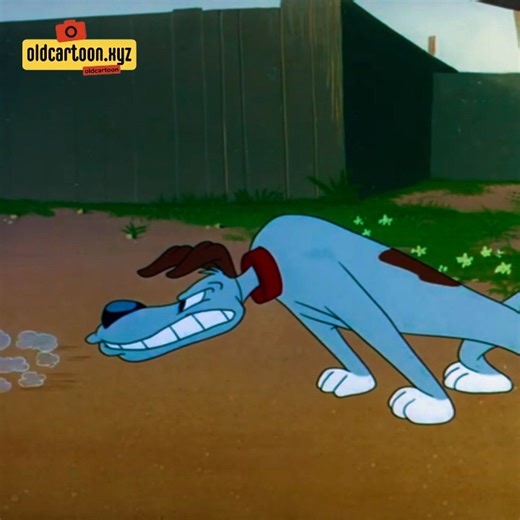 Best Classic Cartoon Fun 1950 🐦🐰 | Timeless Laughs from Animation’s Golden Age! #ClassicCartoons #RetroToons #GoldenAgeAnimation #LooneyTunes #TimelessComedy #SlapstickFun #AnimatedLaughs #CartoonNostalgia #ThrowbackToons #AnimationLegends | Cartoon Clips