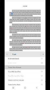 How to Change the Font Type to Times New Roman on Documents from Your Phone | by Heni Meliani