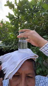 53K views · 867 reactions | insolacion, un baso y un paño seco | Carlos ahois Naturista | Facebook