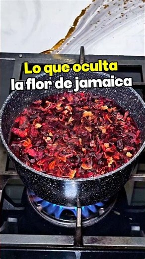 What the hibiscus flower hides that you didn't know.