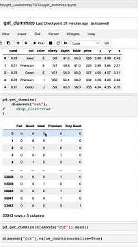 Learn Python: Dummy Variables #python
