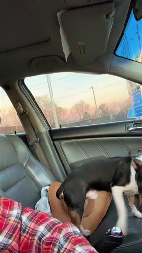 Compass (@compass007)’s videos with original sound - Compass