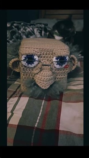 crochet tissue box cover #crochet #conversationpiece #funny