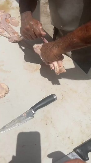 #preparandolosmachitos #Machitos #tripitasderes | Cocinando Con Antonia