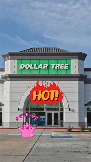 114K views · 515 reactions | New at Dollar Tree Part 1 | Simplistically Living | Facebook