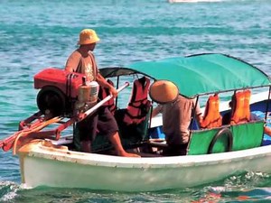 Natural Disaster True Survival Stories