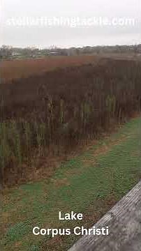 Water Levels At Lake Corpus Christi, Texas. #fishing #lake
