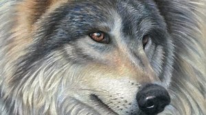 Colored Pencil Techniques for Wild Animals