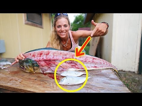 How To Fillet a Mahi Mahi & see what I found in the belly!