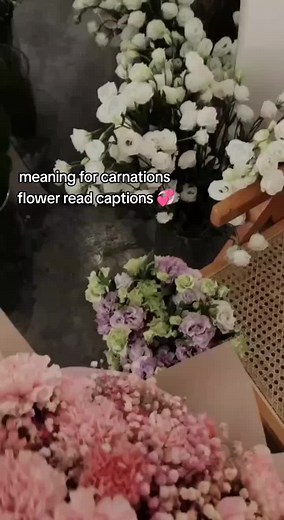 Meaning of Carnation Flower Colors: Discover Their Symbolism