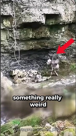 SCARY Goblin Creature in the Woods Caught On Camera