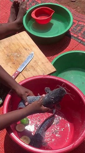 How to Clean Catfish the Easy Way!