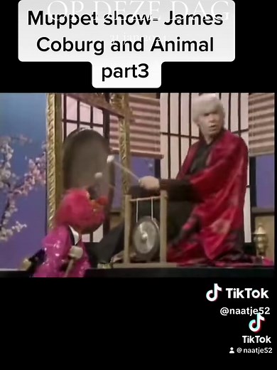 #muppetshow #muppettok #muppets #disneyplus #animal #jamescoburn