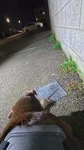 body camera footage plus birds eye view of the exact same footage