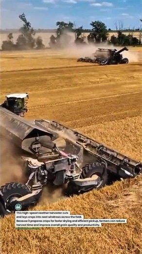 Swather Harvester Cuts Wheat Faster Boosts Efficiency #Farming #Harvest #Agriculture