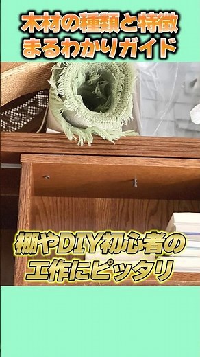 【DIYの知恵袋】木材の種類と特徴まるわかりガイド VOICEVOX:青山龍星 #木材の特徴 #木材選びガイド #1分で学ぶDIY #ホームセンター活用