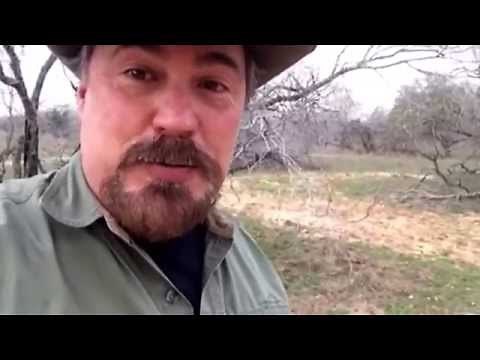Hog Hunting with a Knife and Pit Bull