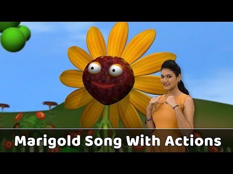 Marigold Flower Song With Actions | Flower Rhymes For Babies | Learn Flowers Kids | Toddlers Songs