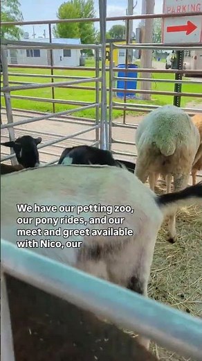 Pony Rides and a Petting Zoo at the Rodeo today!