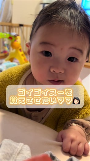 ゴイゴイスーを覚えさせたいママ👩🏻 #ゴイゴイスー #スーを差し上げます #CapCut #tiktok #mybaby #baby #babygram #子育て #男の子ベビー #男の子ママ #赤ちゃんのいる暮らし #赤ちゃん #子供 #👶🏻 #👦🏻 #ダイアン #ダイアン津田に届け #6ヶ月 #6ヶ月ベビー #だんだん #だん #だだんだん