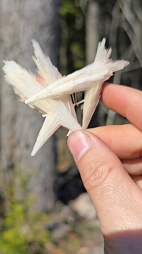 Sunny Ridge Creations on Reels