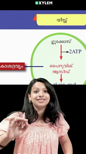 Eg of Anaerobic Respiration !!
