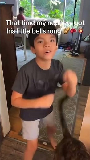 dog hits kid with tail