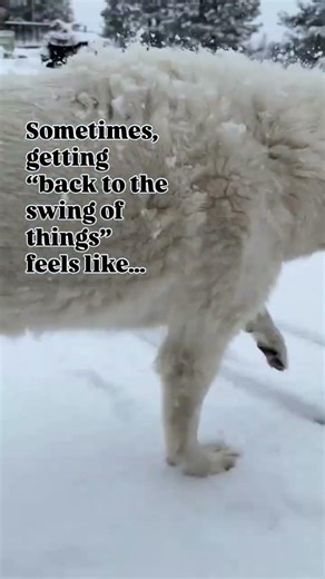 Having one of those days 🤣 If you need a little kickstart to the week, here’s some inspiration