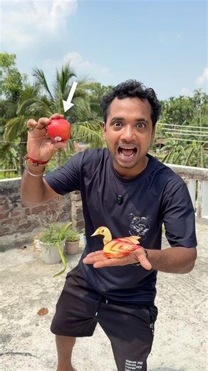 ₹2000 Challenge Turned an apple into swan ! Bengali mini blog #shorts