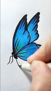 👉 Easy Blue Butterfly Drawing Step by Step 🦋✨ | #shorts #ytshorts #art #drawing #viral