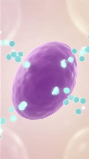 Treatment of yeast infections ✅