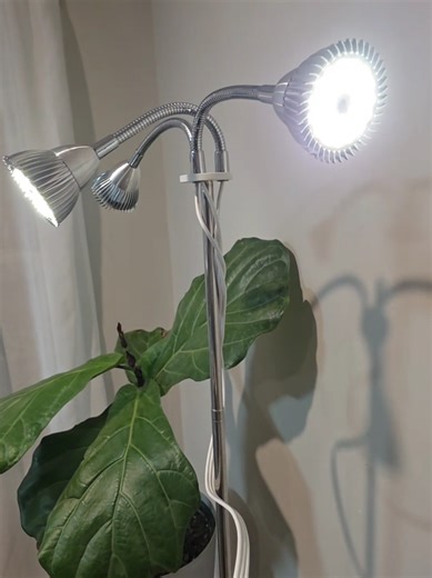Adjustable Tripod Grow Light for Healthy Houseplants