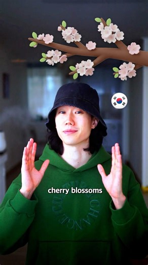 Have you ever experienced spring season in Korea?