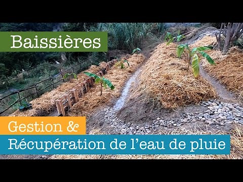 Baissières or How to collect and store / manage rainwater in Permaculture? (Swales)