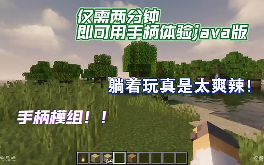 【mc手柄模组】点进这个视频，教你怎么用手柄玩mcjava版！